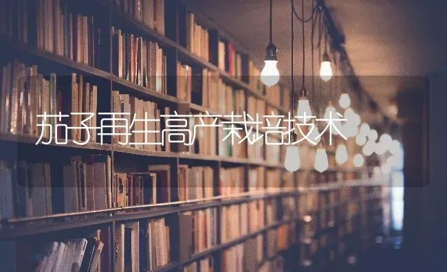 茄子再生高产栽培技术 | 蔬菜种植