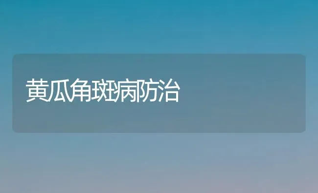 黄瓜角斑病防治 | 蔬菜种植