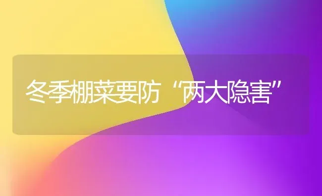 冬季棚菜要防“两大隐害” | 蔬菜种植