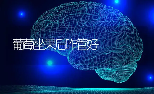 葡萄坐果后咋管好 | 瓜果种植