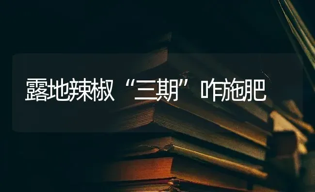 露地辣椒“三期”咋施肥 | 种植肥料施肥