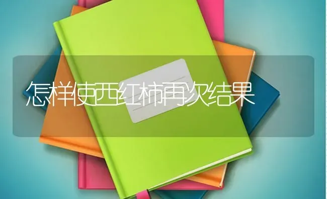 怎样使西红柿再次结果 | 瓜果种植