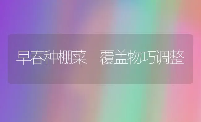 早春种棚菜 覆盖物巧调整 | 蔬菜种植