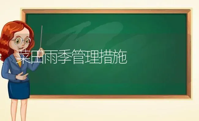菜田雨季管理措施 | 蔬菜种植