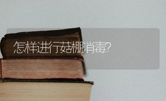怎样进行菇棚消毒？ | 食用菌种植