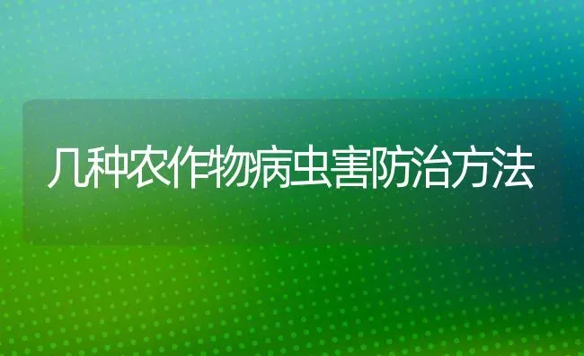 几种农作物病虫害防治方法 | 种植病虫害防治