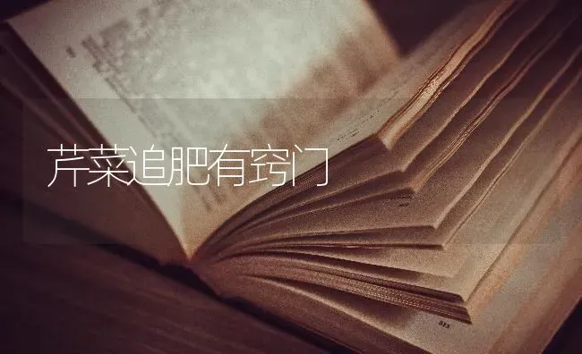 芹菜追肥有窍门 | 蔬菜种植