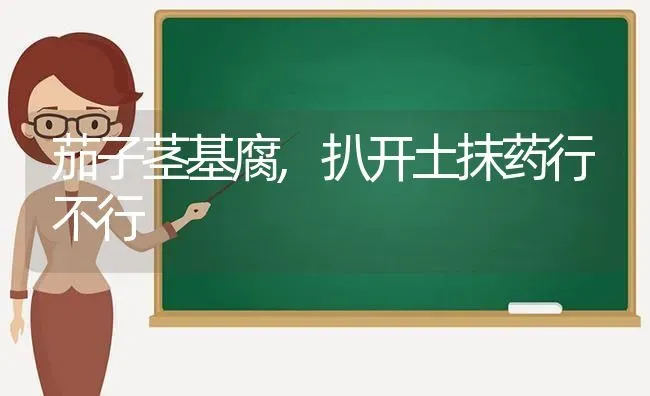 茄子茎基腐,扒开土抹药行不行 | 蔬菜种植