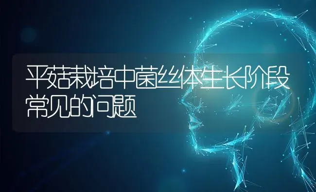平菇栽培中菌丝体生长阶段常见的问题 | 食用菌种植