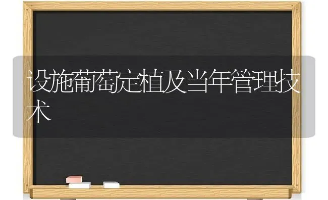 设施葡萄定植及当年管理技术 | 瓜果种植