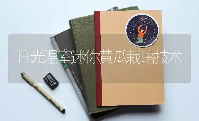 日光温室迷你黄瓜栽培技术 | 蔬菜种植