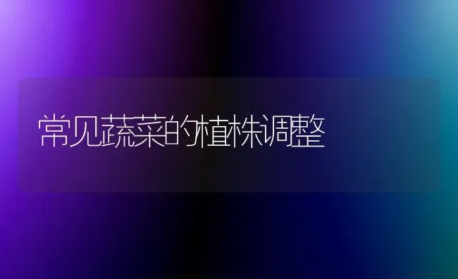 常见蔬菜的植株调整 | 蔬菜种植