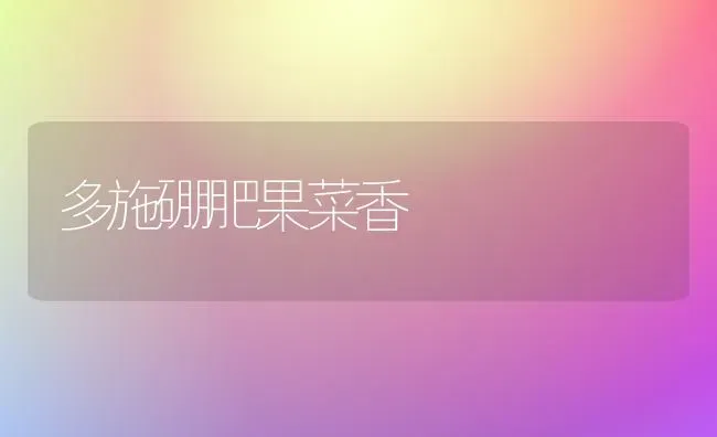 多施硼肥果菜香 | 瓜果种植