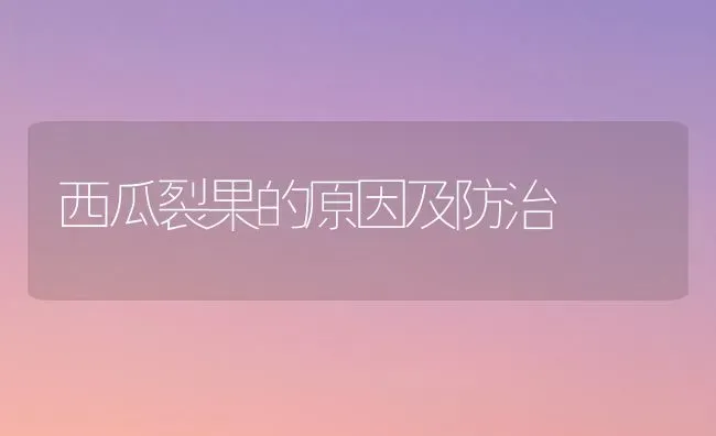 西瓜裂果的原因及防治 | 瓜果种植