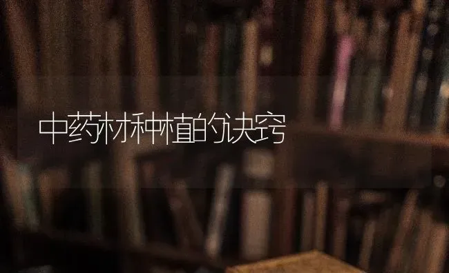 中药材种植的诀窍 | 药材种植