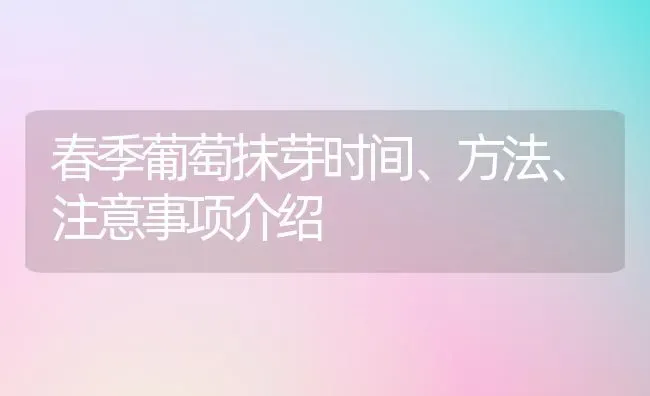 春季葡萄抹芽时间、方法、注意事项介绍 | 瓜果种植