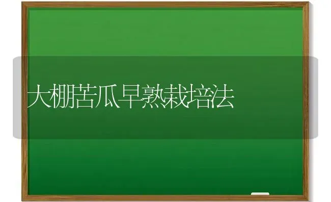 大棚苦瓜早熟栽培法 | 蔬菜种植