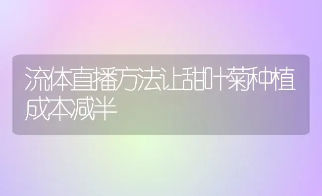 流体直播方法让甜叶菊种植成本减半 | 植物种植百科
