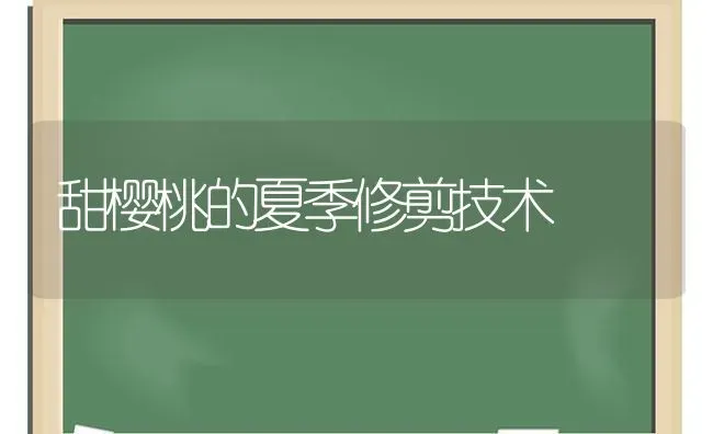甜樱桃的夏季修剪技术 | 瓜果种植