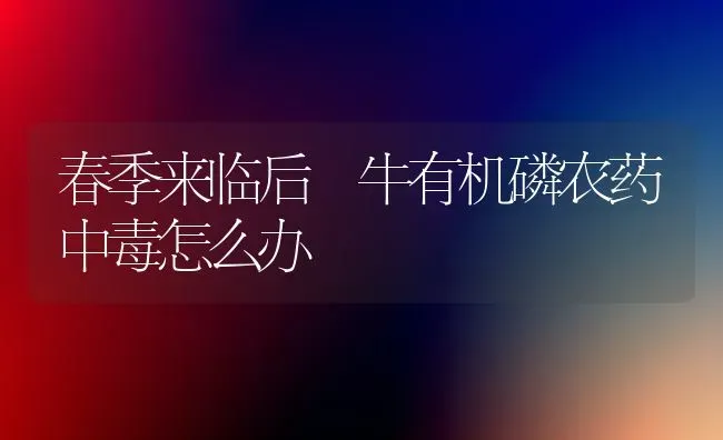 春季来临后 牛有机磷农药中毒怎么办 | 种植病虫害防治