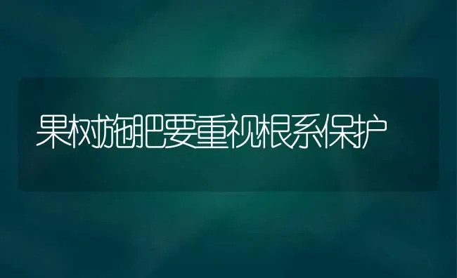 果树施肥要重视根系保护 | 瓜果种植