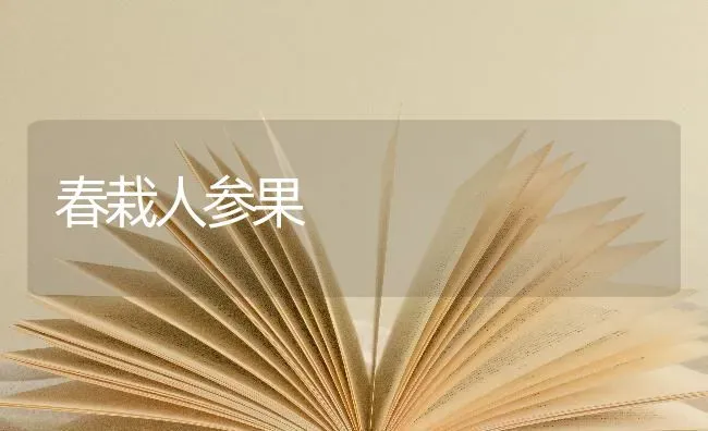 春栽人参果 | 瓜果种植