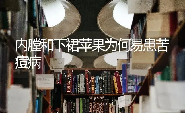 内膛和下裙苹果为何易患苦痘病 | 瓜果种植