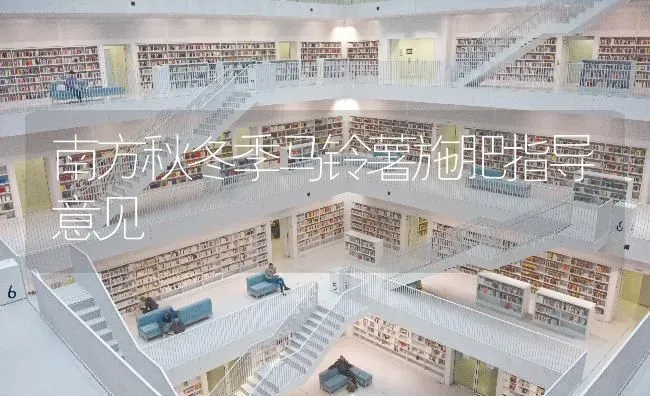 南方秋冬季马铃薯施肥指导意见 | 种植肥料施肥
