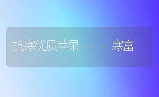 抗寒优质苹果---寒富 | 瓜果种植