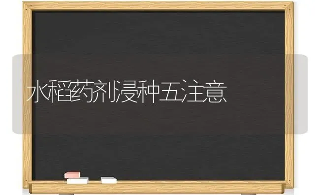 水稻药剂浸种五注意 | 粮油作物种植