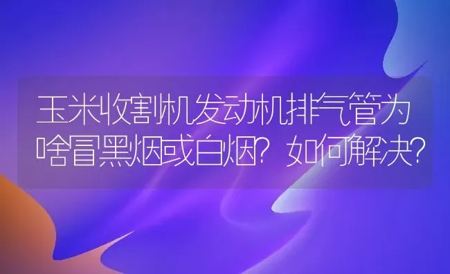 玉米收割机发动机排气管为啥冒黑烟或白烟？如何解决？ | 粮油作物种植