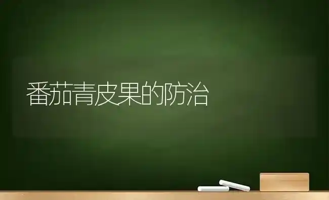 番茄青皮果的防治 | 瓜果种植