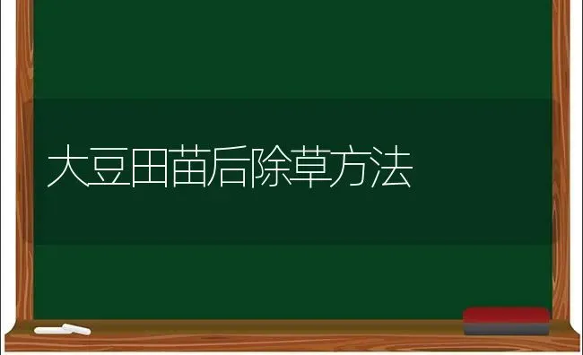 大豆田苗后除草方法 | 粮油作物种植