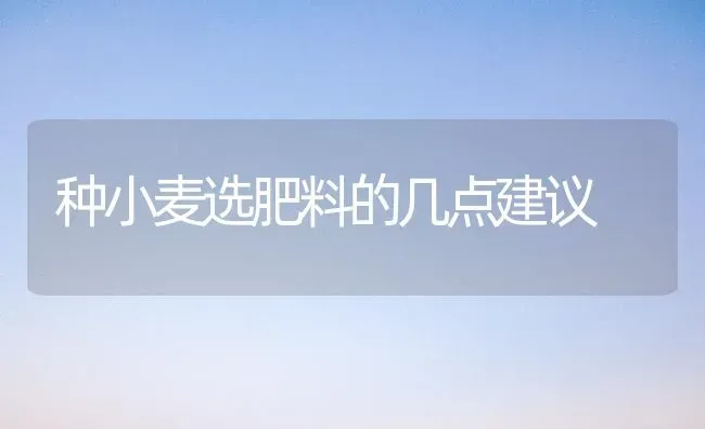 种小麦选肥料的几点建议 | 粮油作物种植