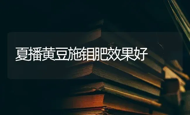 夏播黄豆施钼肥效果好 | 瓜果种植