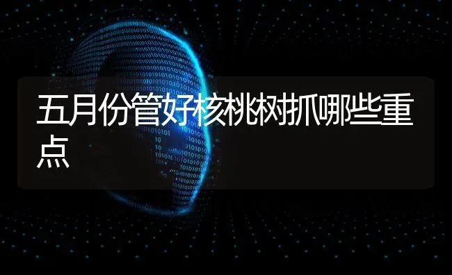 五月份管好核桃树抓哪些重点 | 瓜果种植