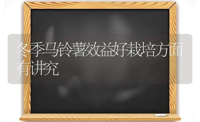 冬季马铃薯效益好栽培方面有讲究 | 粮油作物种植