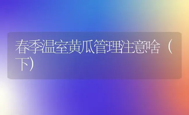 春季温室黄瓜管理注意啥（下） | 蔬菜种植