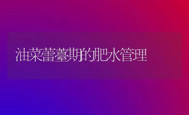 油菜蕾薹期的肥水管理 | 粮油作物种植