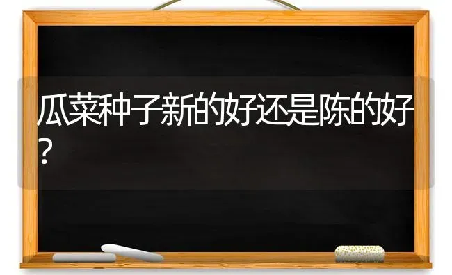 瓜菜种子新的好还是陈的好？ | 蔬菜种植