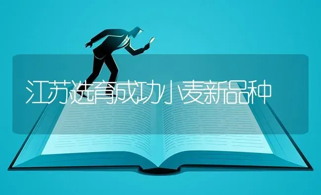 江苏选育成功小麦新品种 | 粮油作物种植
