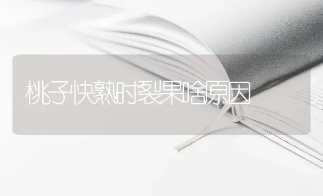 桃子快熟时裂果啥原因 | 瓜果种植