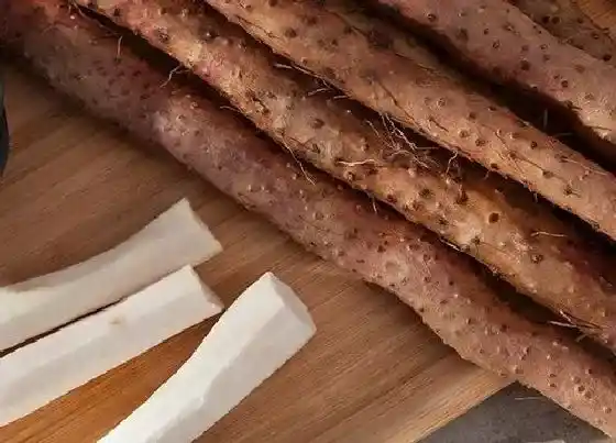 种植方法|山药种植时间和方法