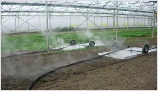 农业种植过程中的土壤消毒方法和事宜介绍 | 种植技术