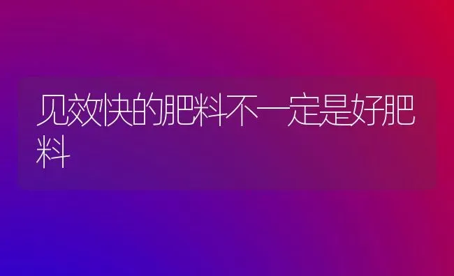 见效快的肥料不一定是好肥料 | 种植肥料施肥