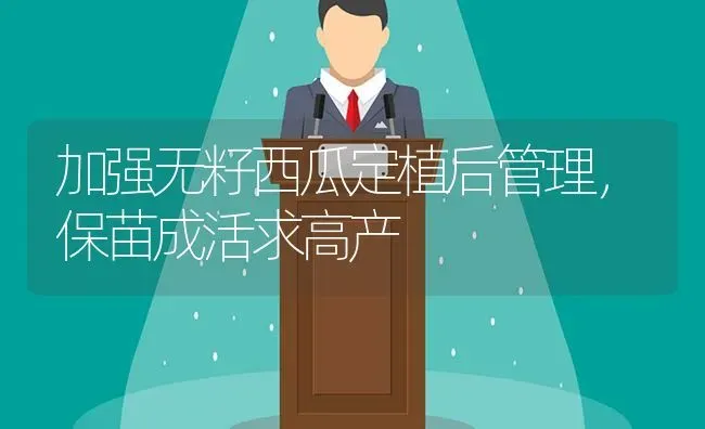 加强无籽西瓜定植后管理,保苗成活求高产 | 瓜果种植