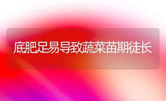 底肥足易导致蔬菜苗期徒长 | 蔬菜种植