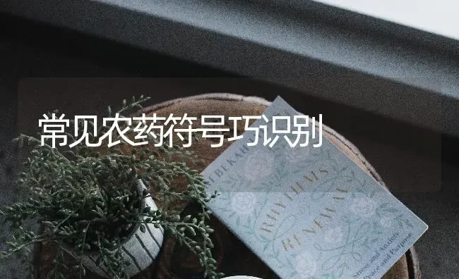 常见农药符号巧识别 | 种植病虫害防治