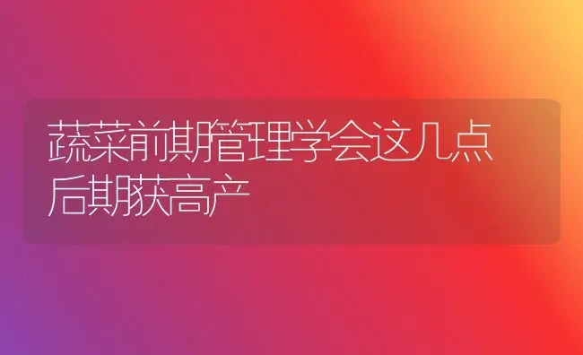 蔬菜前期管理学会这几点 后期获高产 | 蔬菜种植
