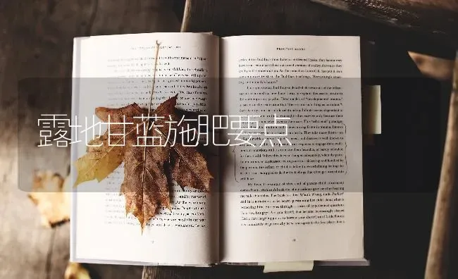 露地甘蓝施肥要点 | 种植肥料施肥